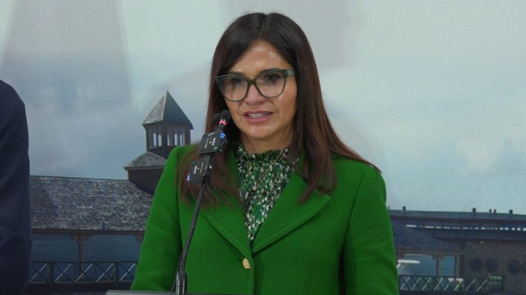 Caso Convenios Gore Los Lagos
