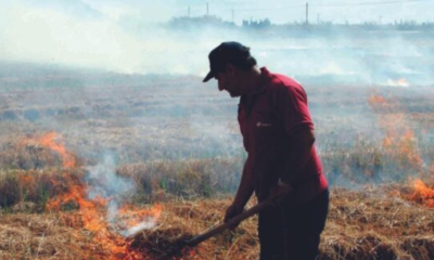 Incendios agrícolas Chiloé