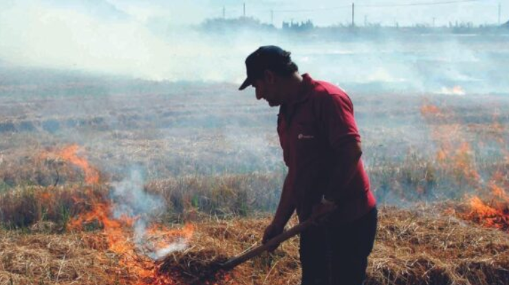 Incendios agrícolas Chiloé
